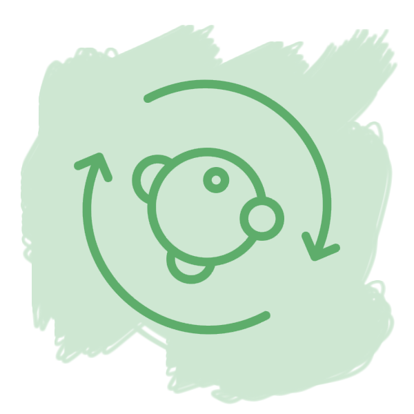 icon-basispaket